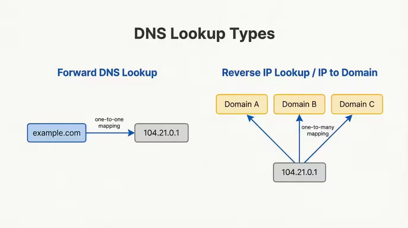 forward DNS lookup vs. reverse IP lookup/IP to domain lookup