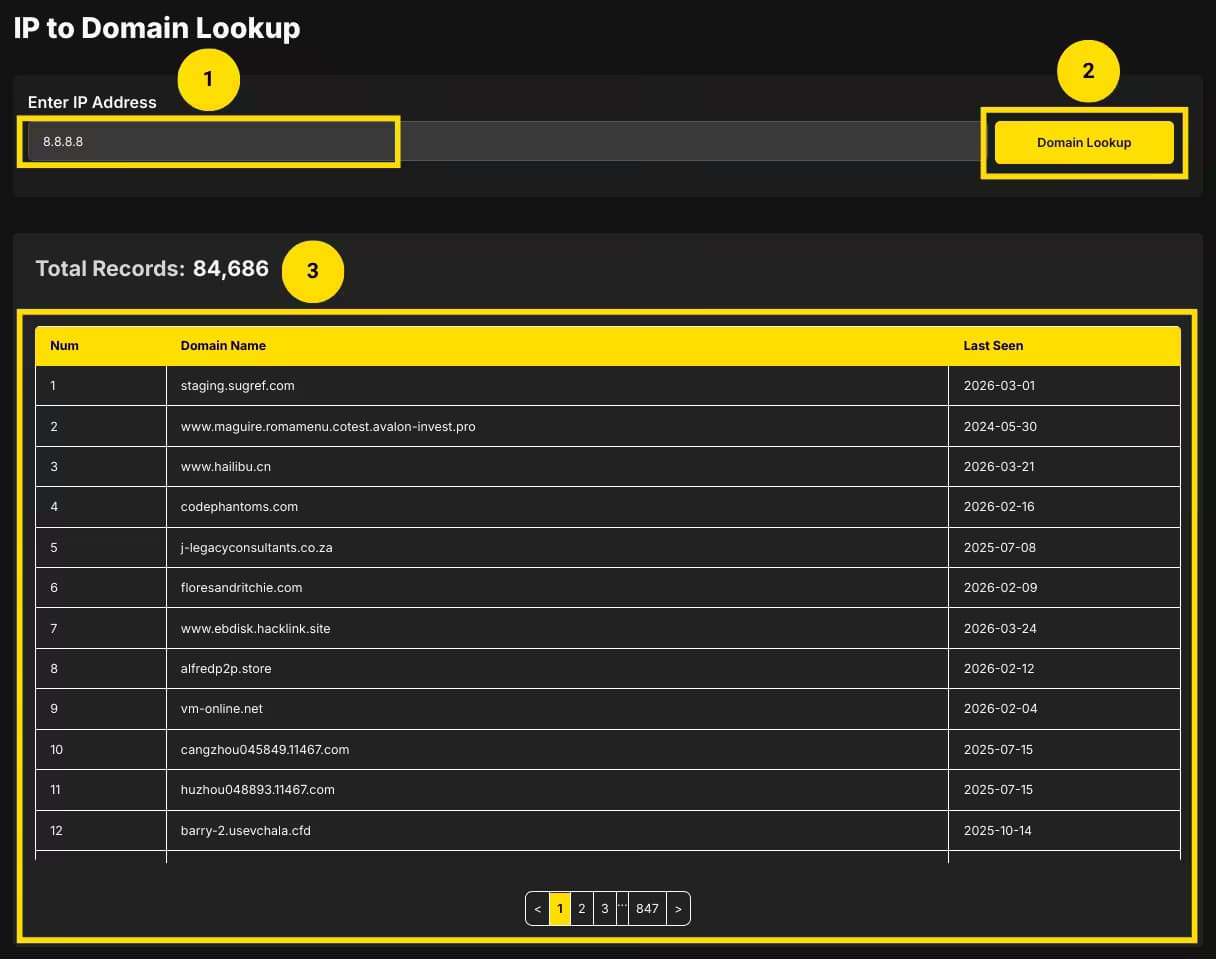 how to use the IP to Domain lookup tool?