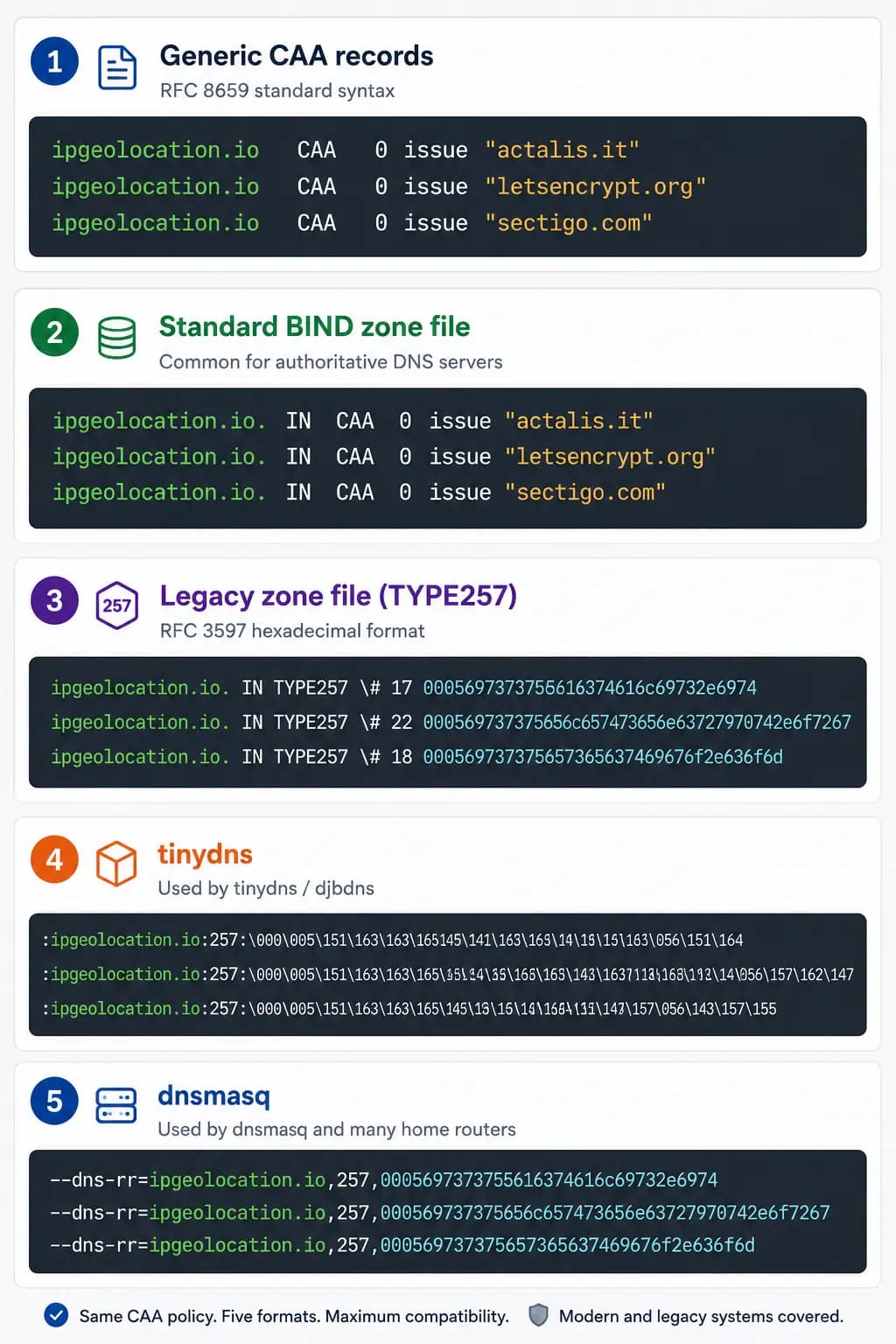 Five CAA output formats compared side by side: Generic CAA, BIND zone, Legacy TYPE257, tinydns, dnsmasq